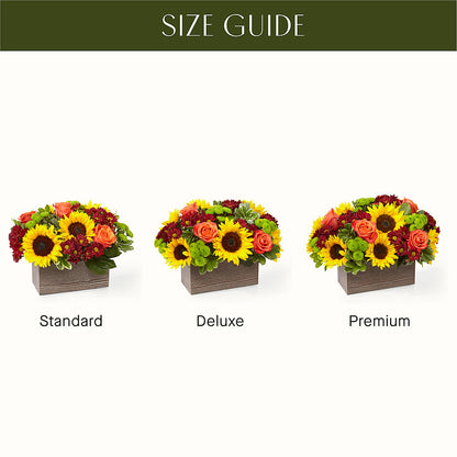 Happy Harvest Garden –  Moderna Flowers, Rosamond CA