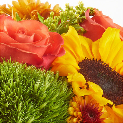 Farmer’s Market Stroll Bouquet –  Moderna Flowers, Rosamond CA