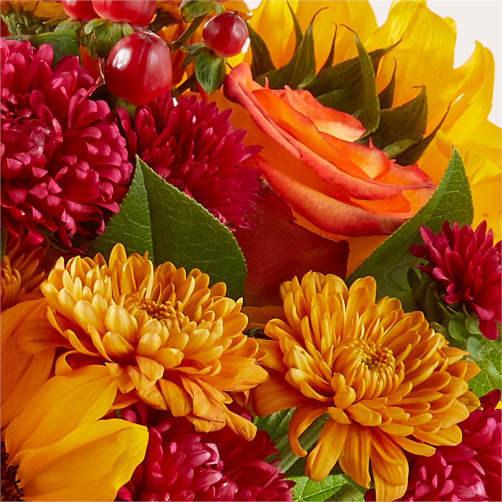 Sweater Season - A Florist Original –  Moderna Flowers, Rosamond CA