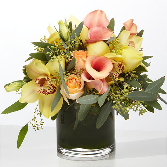 The Visionary –  Moderna Flowers, Rosamond CA