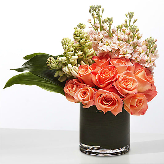 The Moment –  Moderna Flowers, Rosamond CA