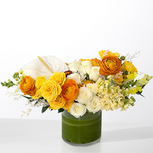 The Optimist –  Moderna Flowers, Rosamond CA