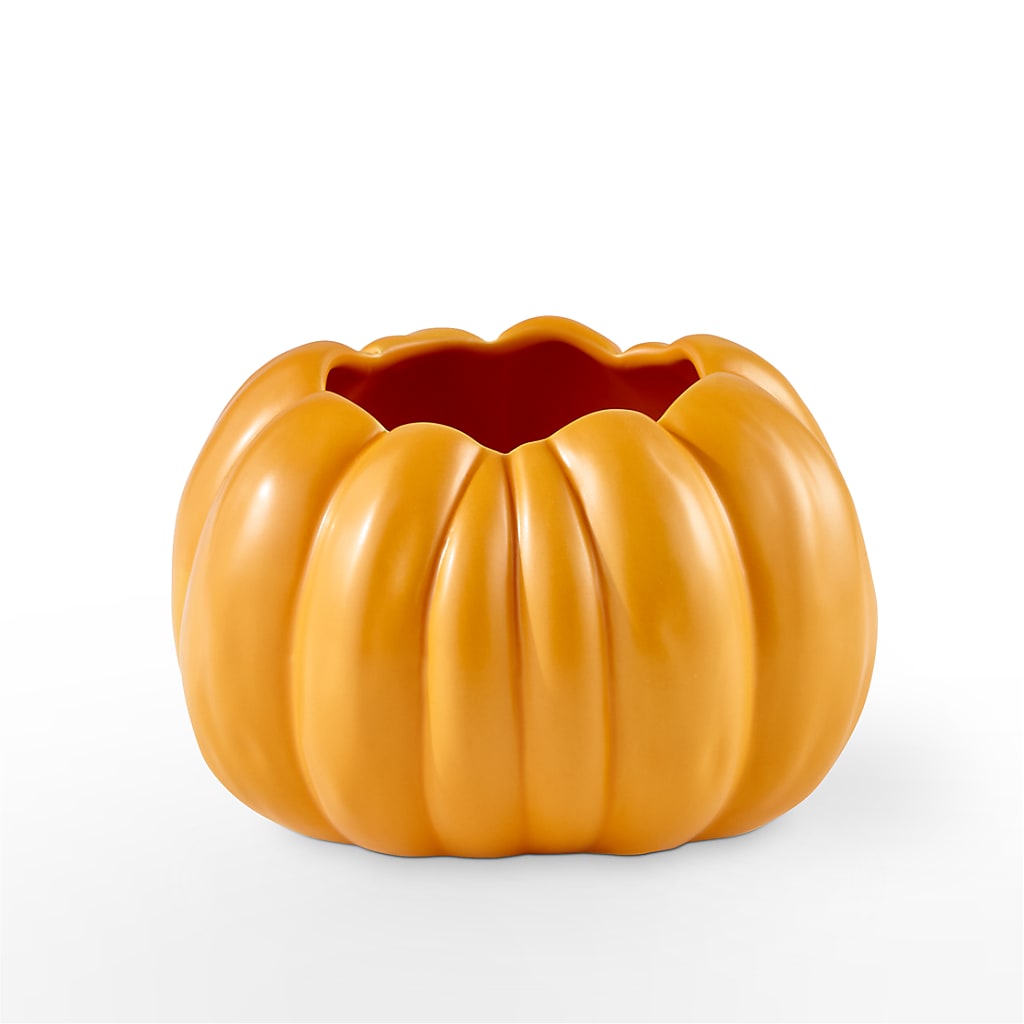 Pick of the Patch Pumpkin Bouquet –  Moderna Flowers, Rosamond CA