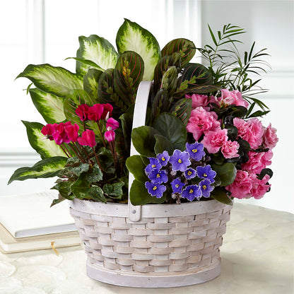 Peaceful Garden Planter –  Moderna Flowers, Rosamond CA