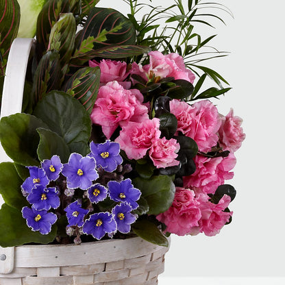 Peaceful Garden Planter –  Moderna Flowers, Rosamond CA