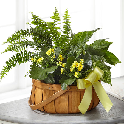 Always Dear Dishgarden –  Moderna Flowers, Rosamond CA
