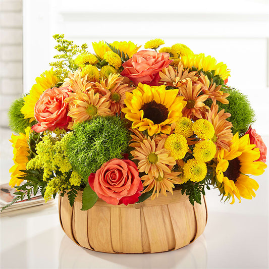 Harvest Sunflower Basket – MODERNA FLOWERS, Rosamond CA
