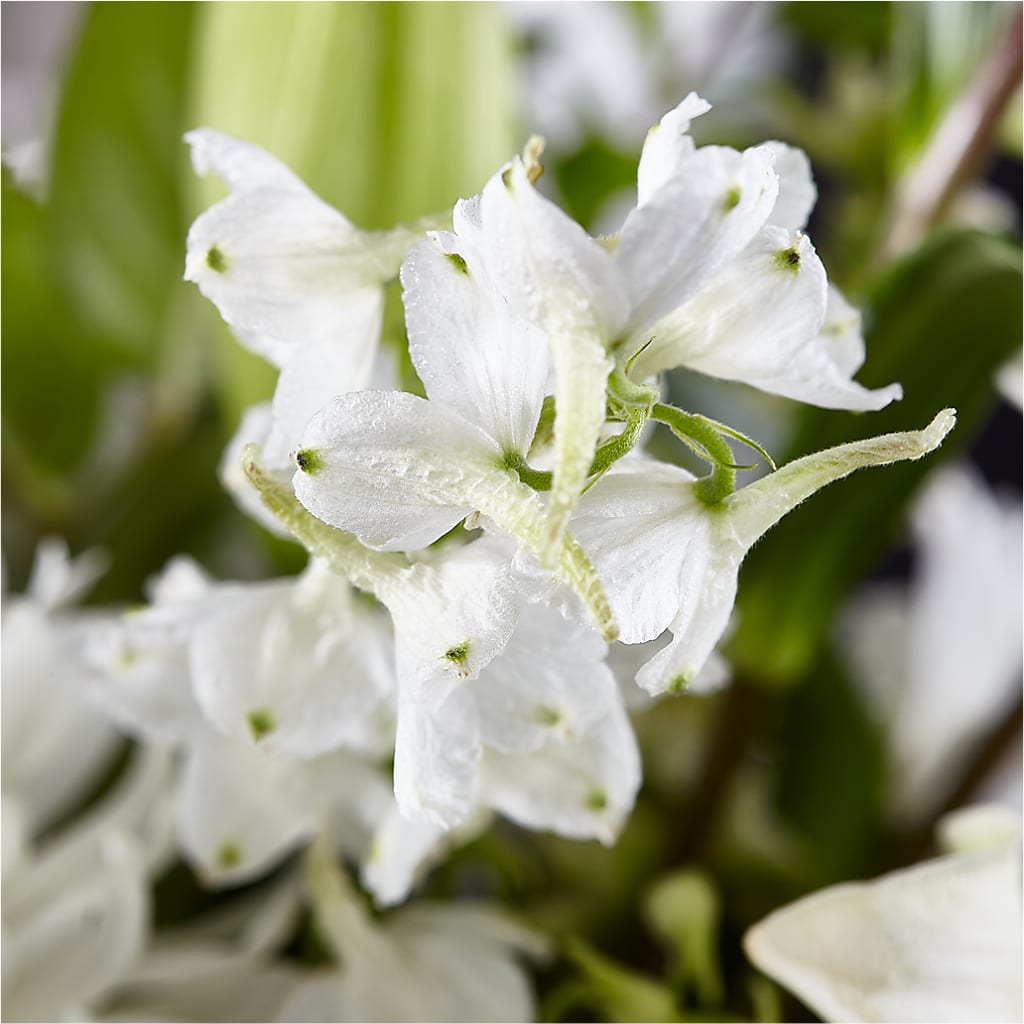 Classic Ivory – A Florist Original –  Moderna Flowers, Rosamond CA