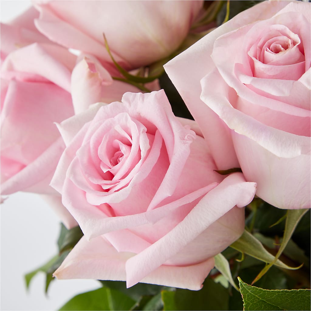 Picture Perfect Pink Rose Bouquet –  Moderna Flowers, Rosamond CA