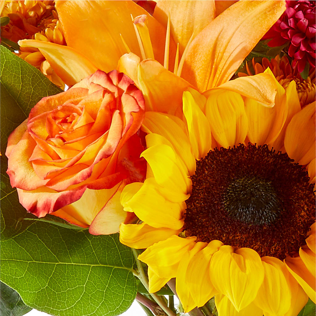 Fall Day Bouquet –  Moderna Flowers, Rosamond CA