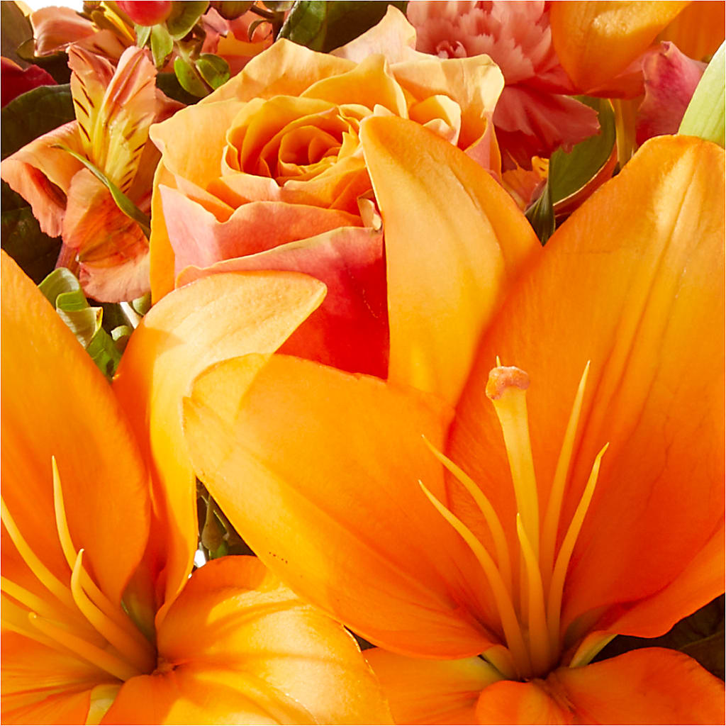 Afternoon Light Bouquet –  Moderna Flowers, Rosamond CA