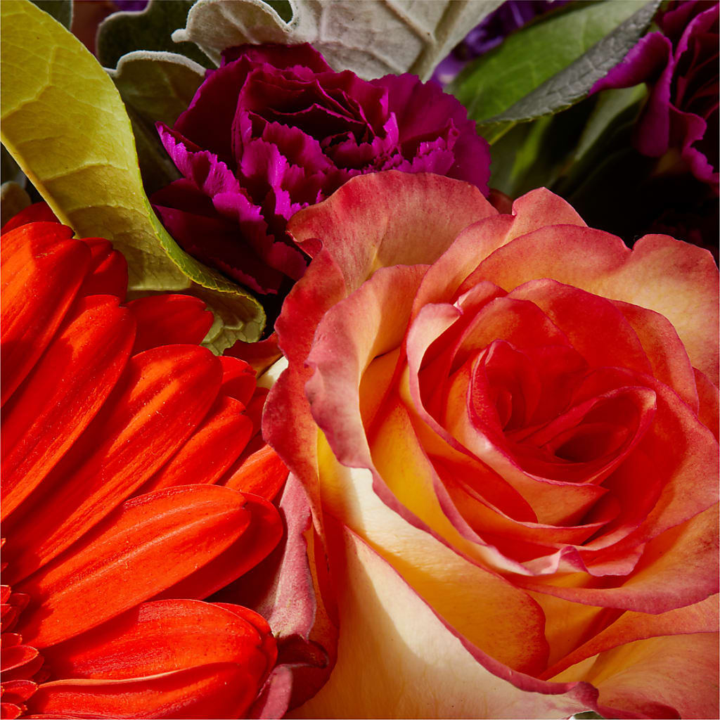 Sangria Bouquet –  Moderna Flowers, Rosamond CA