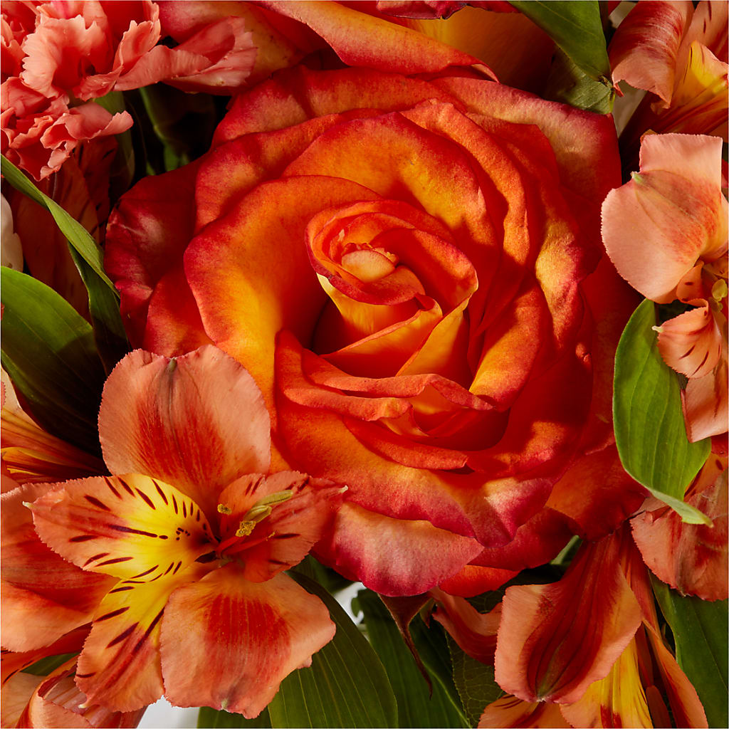 Apricot Glow Bouquet –  Moderna Flowers, Rosamond CA