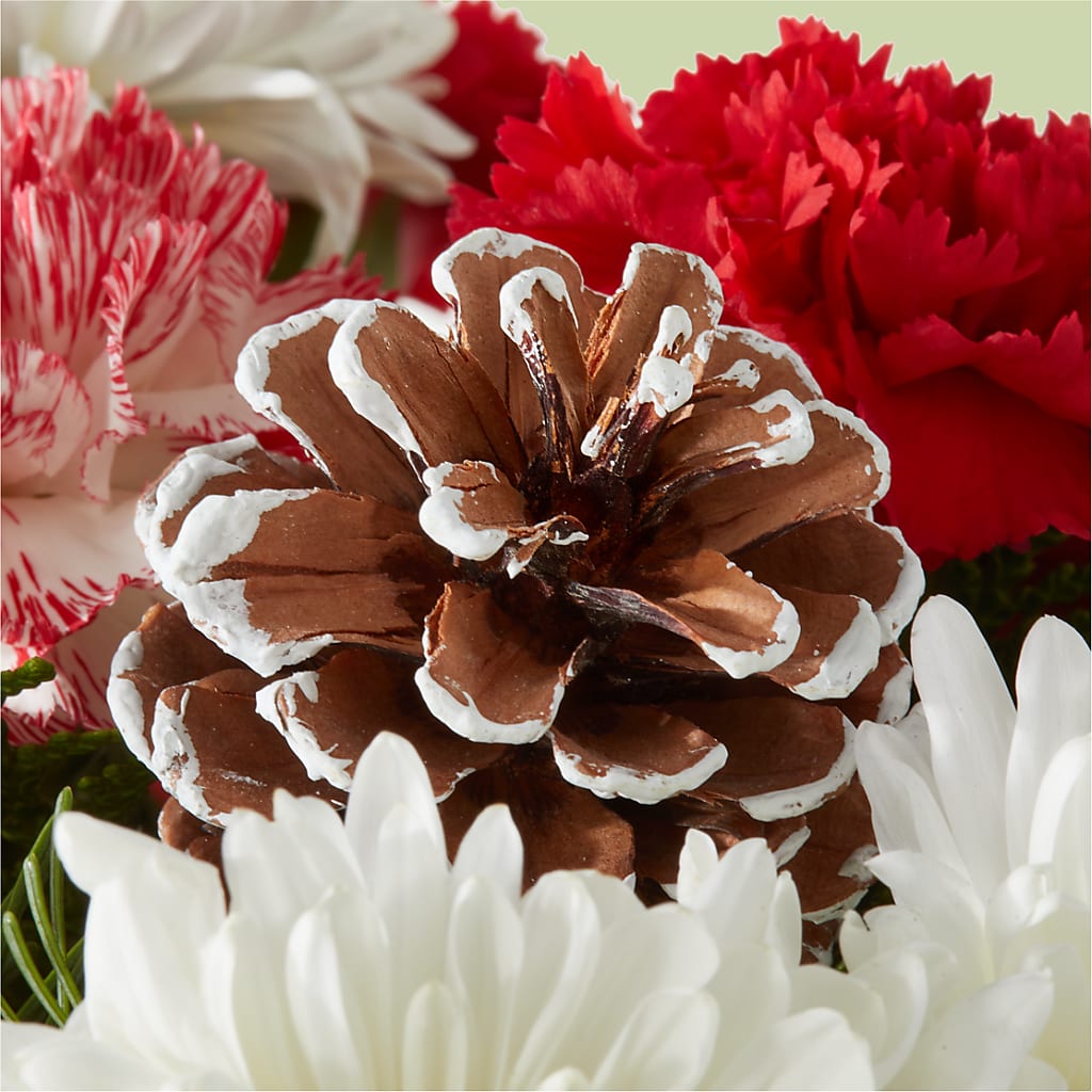 Candy Cane Lane Bouquet –  Moderna Flowers, Rosamond CA