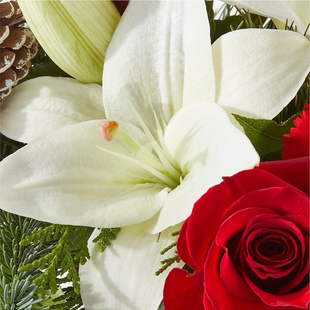 Oh So Jolly Bouquet –  Moderna Flowers, Rosamond CA