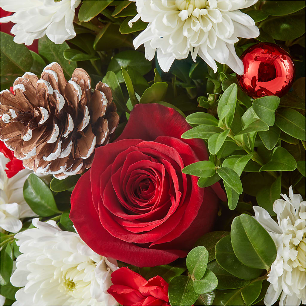 Let It Snow Tree –  Moderna Flowers, Rosamond CA