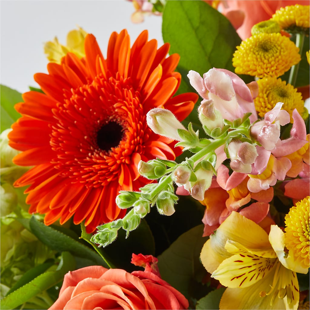 Autumn Sunshine Bouquet –  Moderna Flowers, Rosamond CA