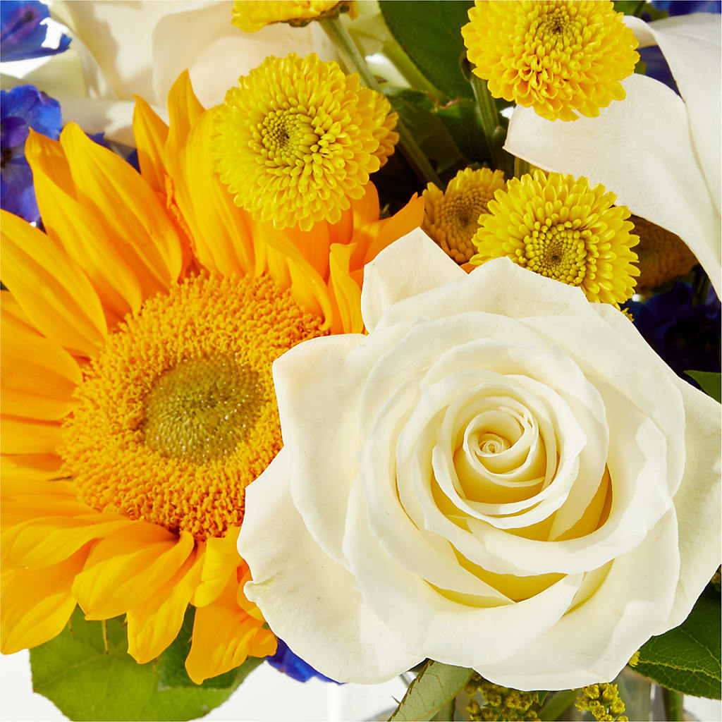 Stargazing Bouquet –  Moderna Flowers, Rosamond CA