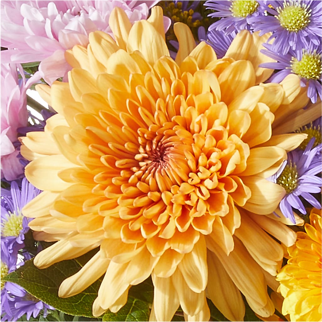 Countryside Bouquet –  Moderna Flowers, Rosamond CA