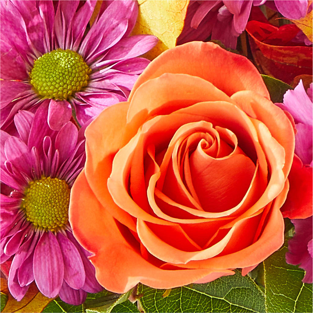 Mum's the Word Bouquet –  Moderna Flowers, Rosamond CA