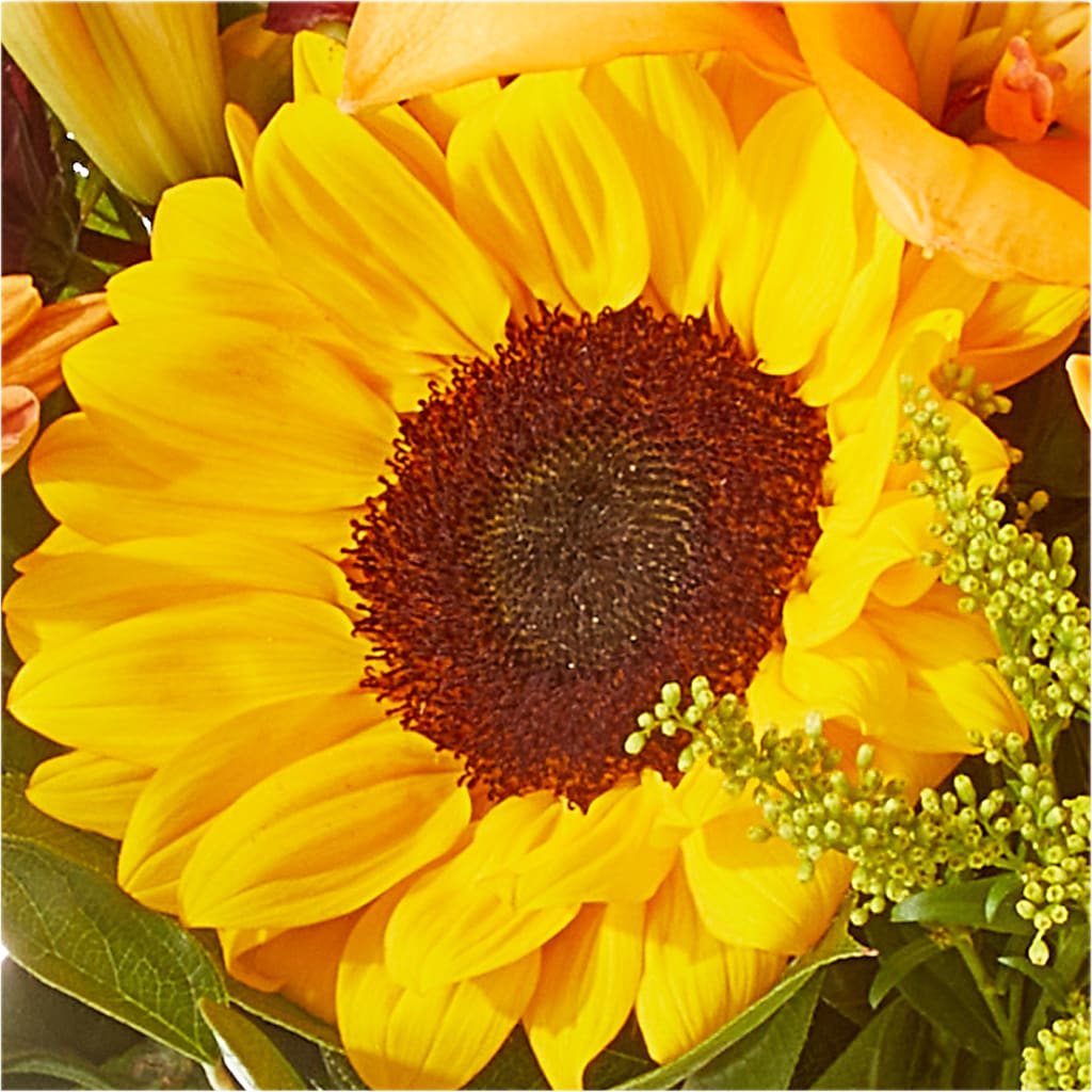 Seasons Change Bouquet –  Moderna Flowers, Rosamond CA