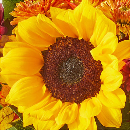 Sunny Side Bouquet –  Moderna Flowers, Rosamond CA