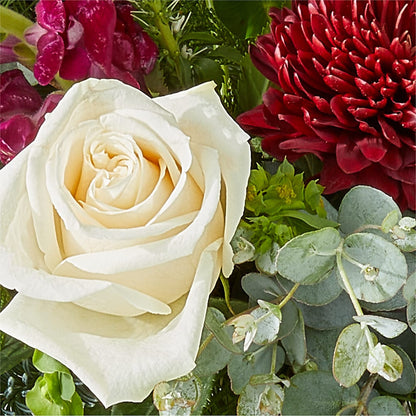 Cranberry Fizz Bouquet –  Moderna Flowers, Rosamond CA