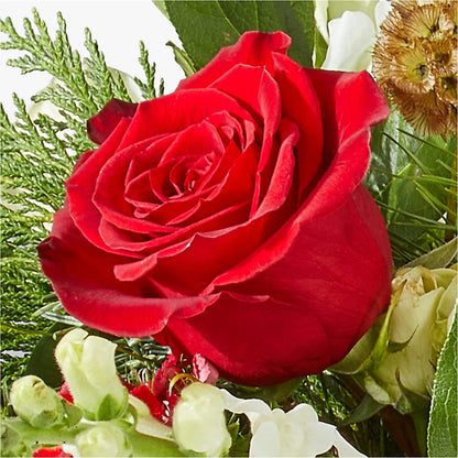 Deck the Halls Bouquet –  Moderna Flowers, Rosamond CA
