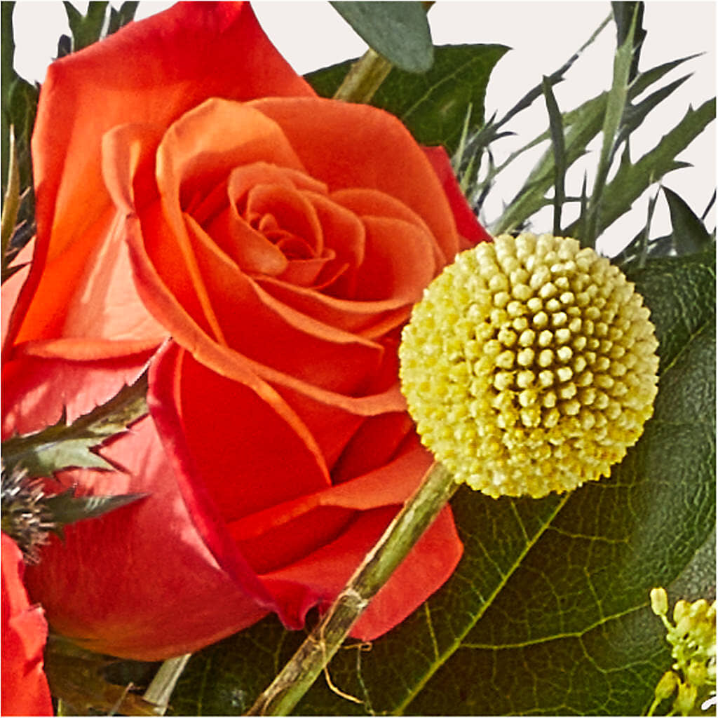 Disco Bouquet –  Moderna Flowers, Rosamond CA