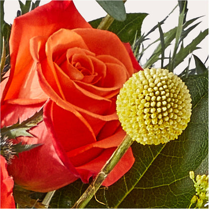 Disco Bouquet –  Moderna Flowers, Rosamond CA