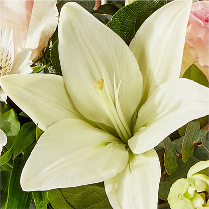 Ballet Slippers Bouquet –  Moderna Flowers, Rosamond CA