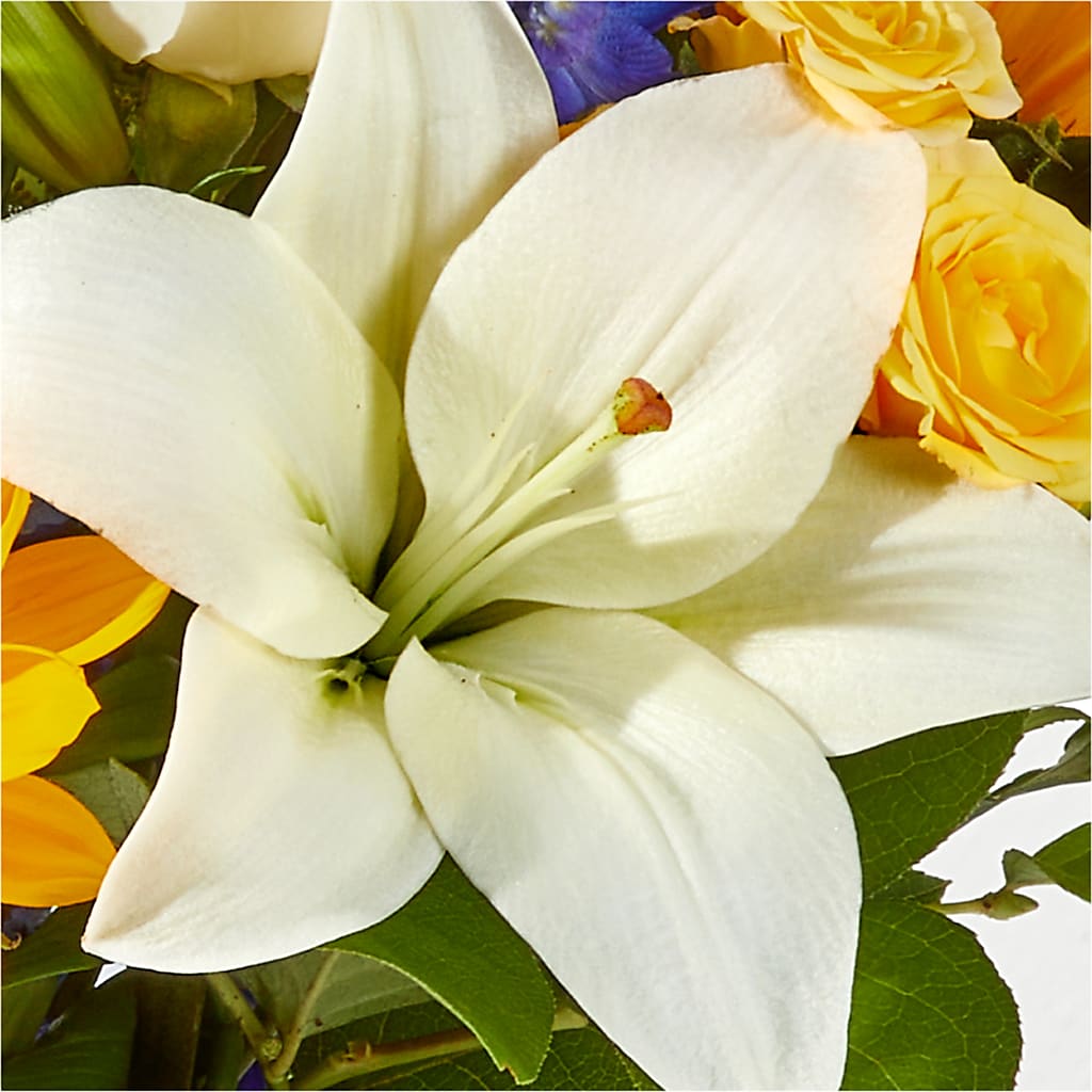 Wonderfully Sunny Bouquet –  Moderna Flowers, Rosamond CA