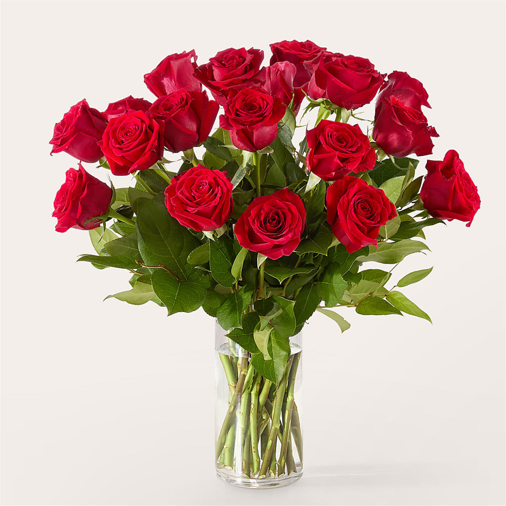 The One Red Rose Bouquet –  Moderna Flowers, Rosamond CA