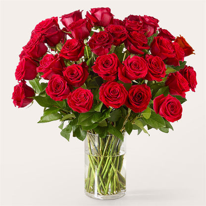 The One Red Rose Bouquet –  Moderna Flowers, Rosamond CA