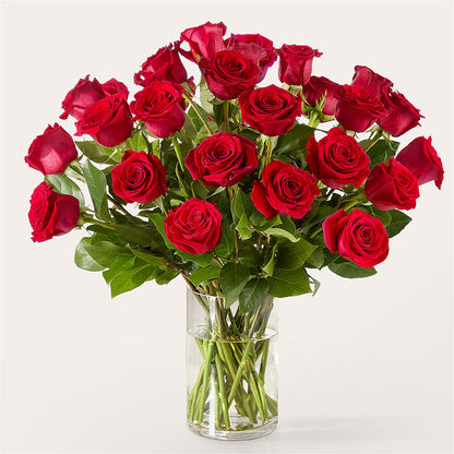 The One Red Rose Bouquet –  Moderna Flowers, Rosamond CA