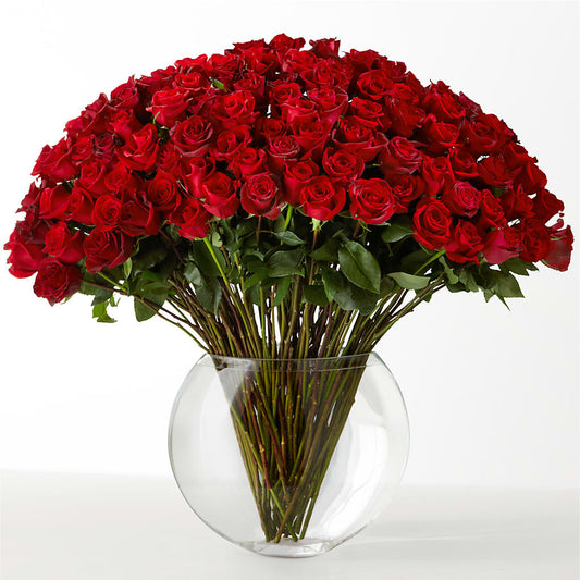 The Idealist –  Moderna Flowers, Rosamond CA