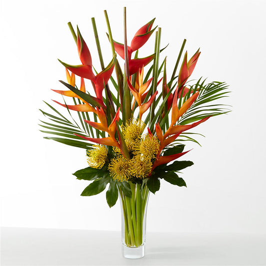 The Drama –  Moderna Flowers, Rosamond CA