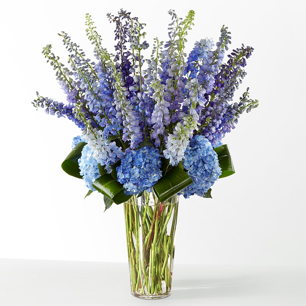 The Editorial –  Moderna Flowers, Rosamond CA
