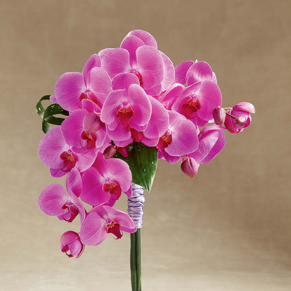 Glorious Bouquet –  Moderna Flowers, Rosamond CA