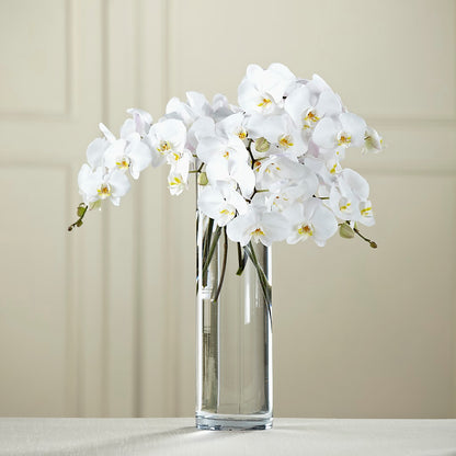 White Phalaenopsis Bouquet –  Moderna Flowers, Rosamond CA