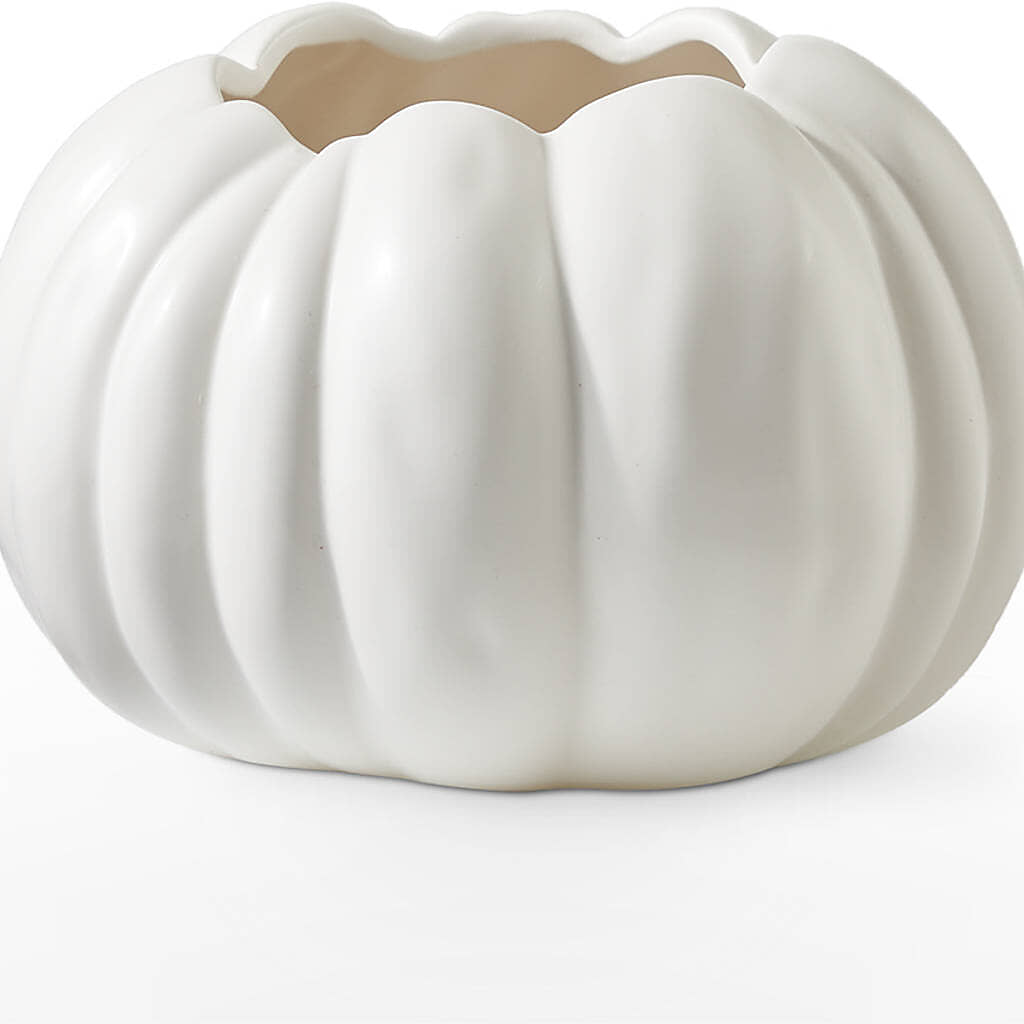 Autumn Air Pumpkin Bouquet –  Moderna Flowers, Rosamond CA