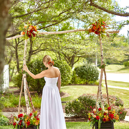 Arbor of Love Archway –  Moderna Flowers, Rosamond CA