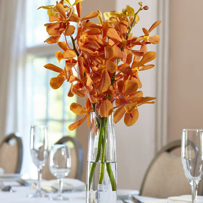 Orange Mokara Bud Vase –  Moderna Flowers, Rosamond CA